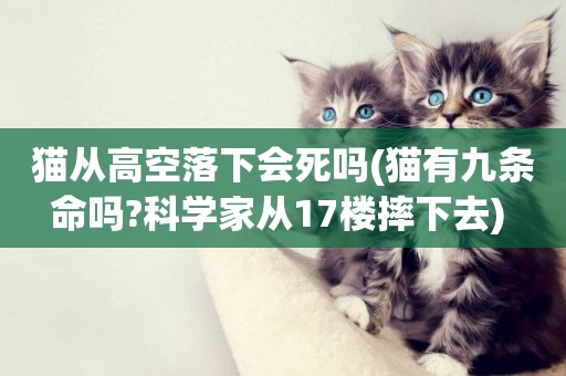 貓從高空落下會死嗎(貓有九條命嗎?科學家從17樓摔下去) 