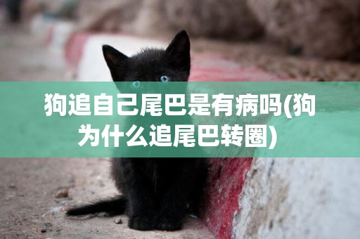 狗追自己尾巴是有病嗎(狗為什么追尾巴轉圈) 