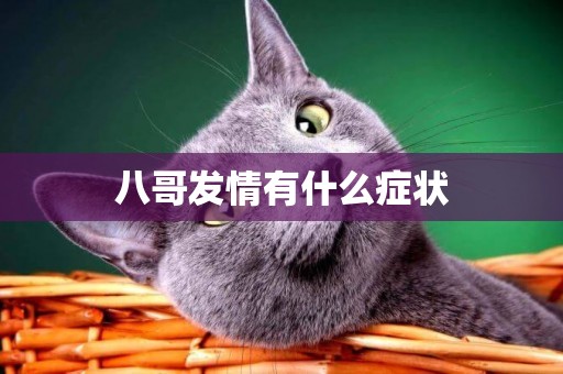 八哥發情有什么癥狀