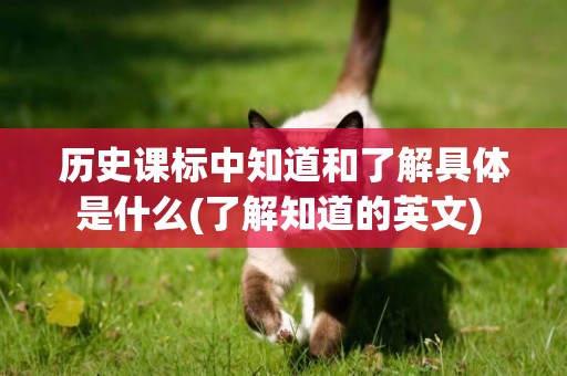 歷史課標中知道和了解具體是什么(了解知道的英文) 