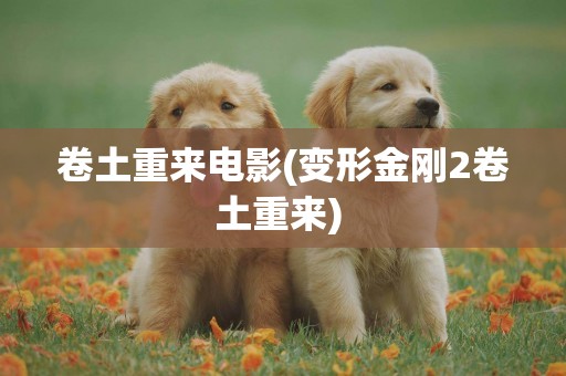 卷土重來電影(變形金剛2卷土重來) 