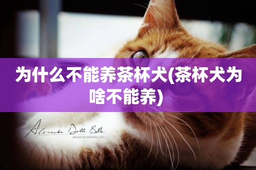 為什么不能養茶杯犬(茶杯犬為啥不能養) 