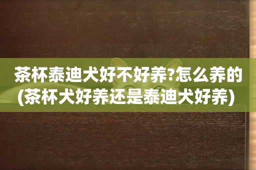 茶杯泰迪犬好不好養?怎么養的(茶杯犬好養還是泰迪犬好養) 