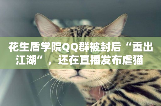 花生盾學院QQ群被封后“重出江湖”，還在直播發布虐貓 
