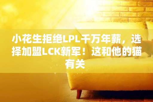 小花生拒絕LPL千萬年薪，選擇加盟LCK新軍！這和他的貓有關 