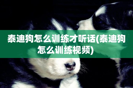 泰迪狗怎么訓練才聽話(泰迪狗怎么訓練視頻) 