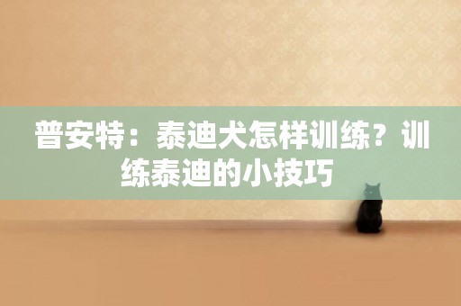 普安特：泰迪犬怎樣訓練？訓練泰迪的小技巧 