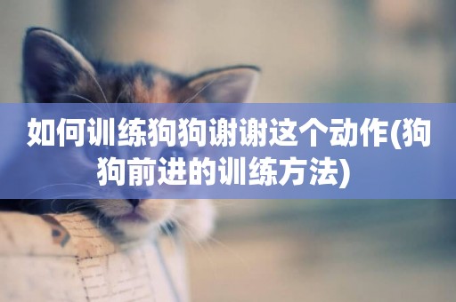 如何訓練狗狗謝謝這個動作(狗狗前進的訓練方法) 