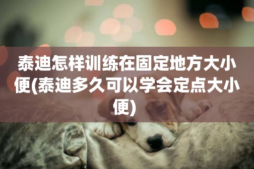 泰迪怎樣訓練在固定地方大小便(泰迪多久可以學會定點大小便) 