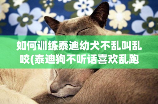 如何訓練泰迪幼犬不亂叫亂咬(泰迪狗不聽話喜歡亂跑) 