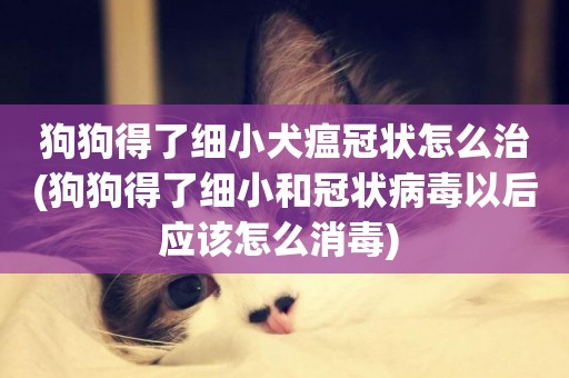 狗狗得了細小犬瘟冠狀怎么治(狗狗得了細小和冠狀病毒以后應該怎么消毒) 