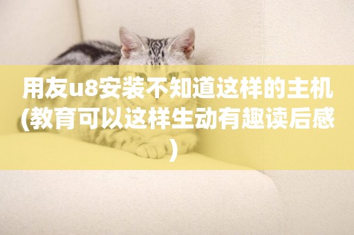 用友u8安裝不知道這樣的主機(教育可以這樣生動有趣讀后感) 