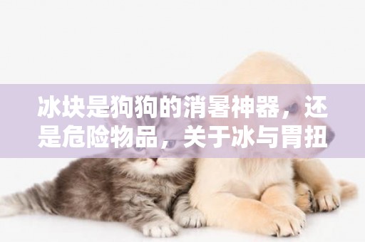 冰塊是狗狗的消暑神器，還是危險物品，關于冰與胃扭轉之間的聯系 