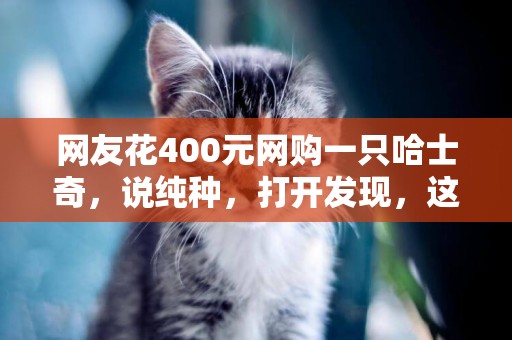 網友花400元網購一只哈士奇，說純種，打開發現，這是什么玩意？ 