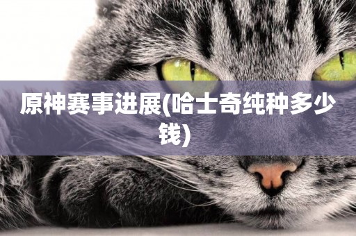 原神賽事進展(哈士奇純種多少錢) 