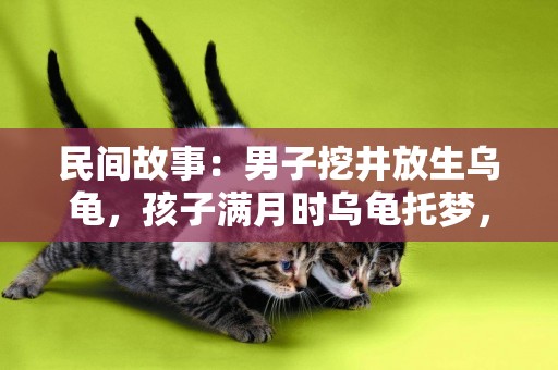民間故事：男子挖井放生烏龜，孩子滿月時烏龜托夢，你妻子有古怪 