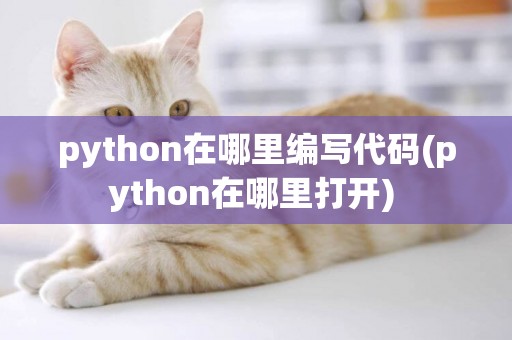 python在哪里編寫代碼(python在哪里打開) 