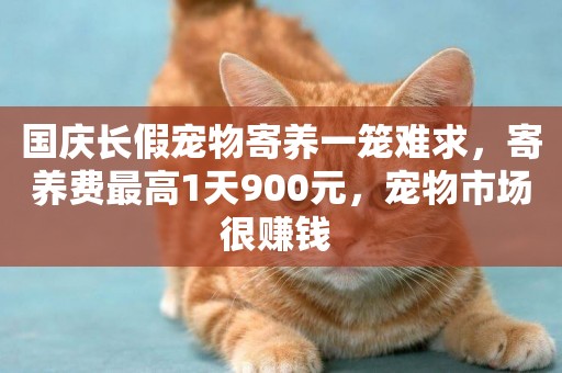 國慶長假寵物寄養一籠難求，寄養費最高1天900元，寵物市場很賺錢 