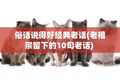 俗話說得好經典老話(老祖宗留下的10句老話) 