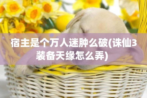 宿主是個萬人迷腫么破(誅仙3裝備天緣怎么弄) 