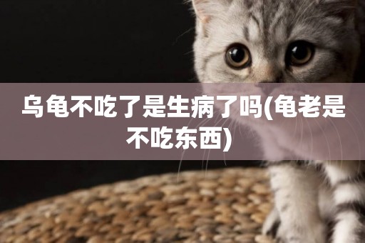 烏龜不吃了是生病了嗎(龜老是不吃東西) 