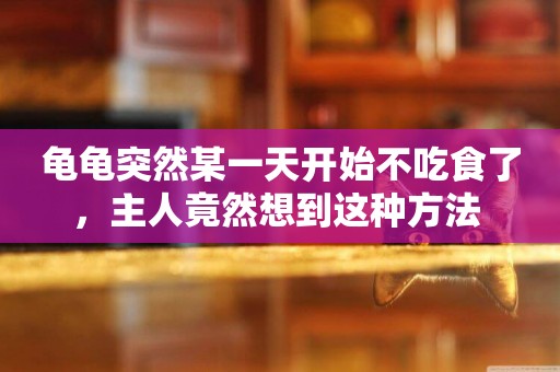 龜龜突然某一天開始不吃食了，主人竟然想到這種方法 