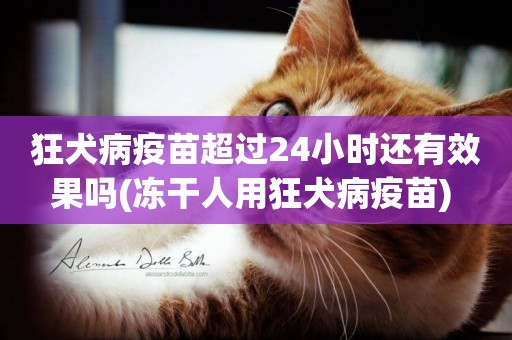 狂犬病疫苗超過24小時還有效果嗎(凍干人用狂犬病疫苗) 