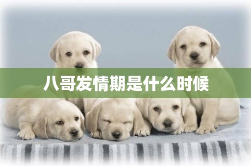 八哥發情期是什么時候