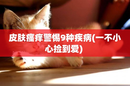 皮膚瘙癢警惕9種疾病(一不小心撿到愛) 