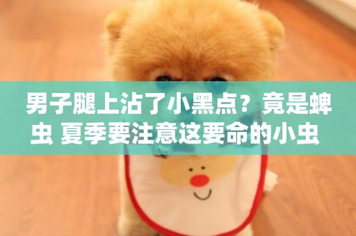 男子腿上沾了小黑點？竟是蜱蟲 夏季要注意這要命的小蟲 