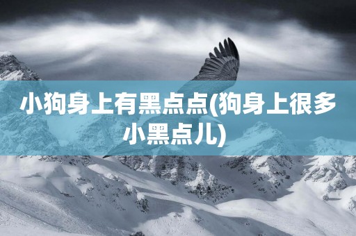 小狗身上有黑點點(狗身上很多小黑點兒) 