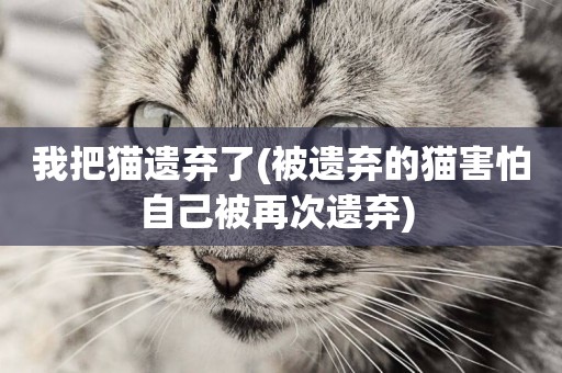 我把貓遺棄了(被遺棄的貓害怕自己被再次遺棄) 