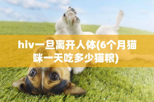 hiv一旦離開人體(6個月貓咪一天吃多少貓糧) 