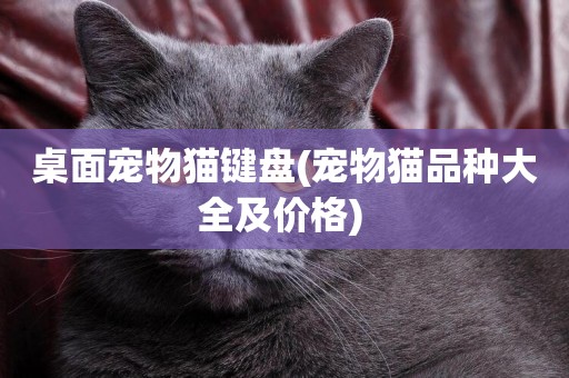 桌面寵物貓鍵盤(寵物貓品種大全及價格) 