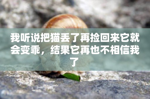 我聽說把貓丟了再撿回來它就會變乖，結果它再也不相信我了 