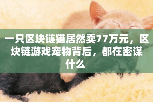 一只區塊鏈貓居然賣77萬元，區塊鏈游戲寵物背后，都在密謀什么 
