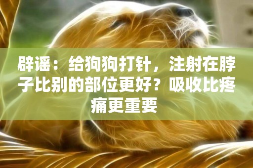 辟謠：給狗狗打針，注射在脖子比別的部位更好？吸收比疼痛更重要 