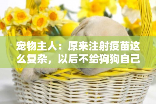 寵物主人：原來注射疫苗這么復雜，以后不給狗狗自己注射疫苗了 