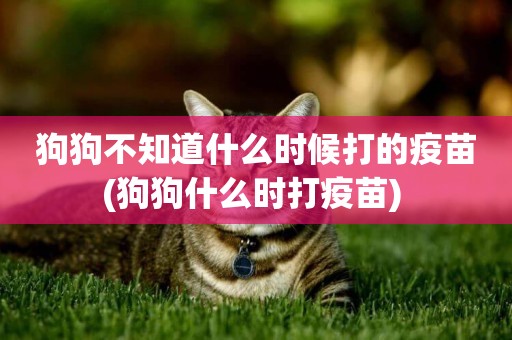 狗狗不知道什么時候打的疫苗(狗狗什么時打疫苗) 