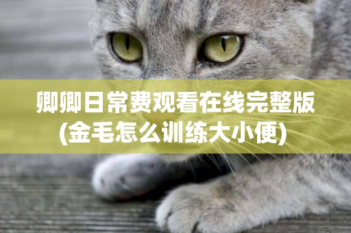 卿卿日常費觀看在線完整版(金毛怎么訓練大小便) 