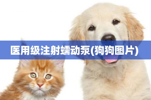 醫用級注射蠕動泵(狗狗圖片) 