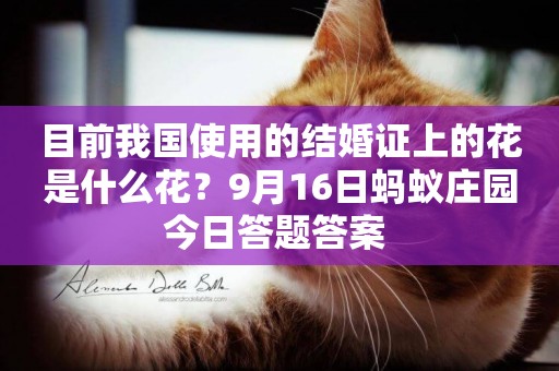 目前我國使用的結婚證上的花是什么花？9月16日螞蟻莊園今日答題答案 