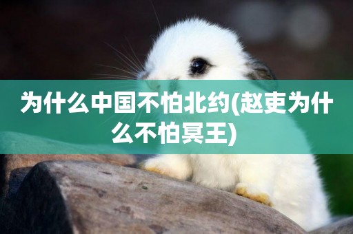 為什么中國不怕北約(趙吏為什么不怕冥王) 