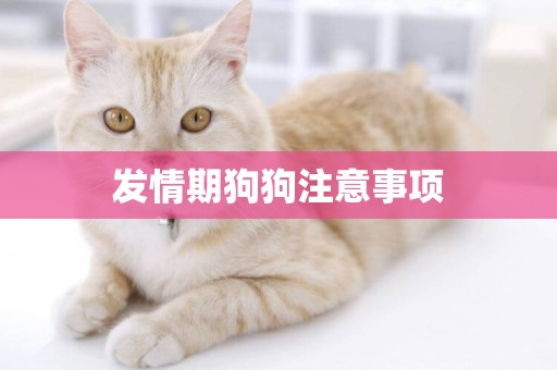 發情期狗狗注意事項