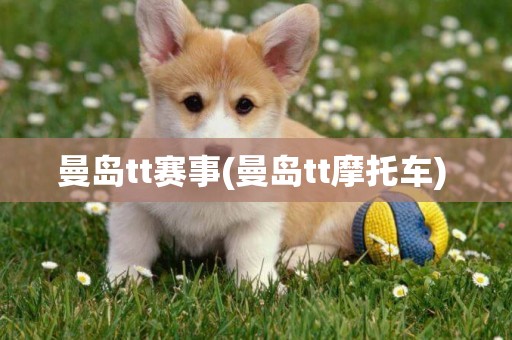 曼島tt賽事(曼島tt摩托車) 