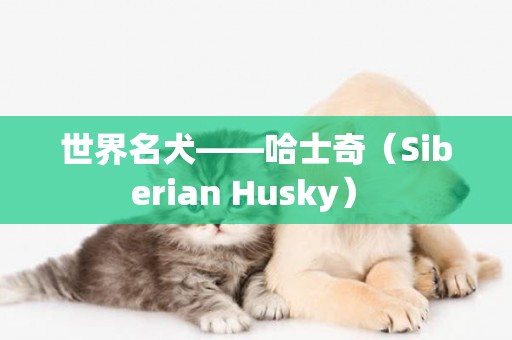 世界名犬——哈士奇（Siberian Husky） 