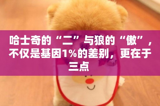 哈士奇的“二”與狼的“傲”，不僅是基因1%的差別，更在于三點 