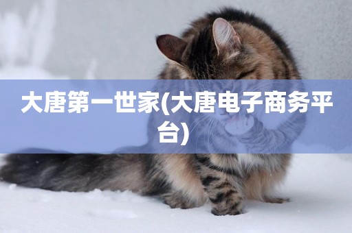 大唐第一世家(大唐電子商務平臺) 