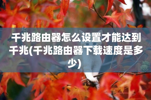 千兆路由器怎么設置才能達到千兆(千兆路由器下載速度是多少) 