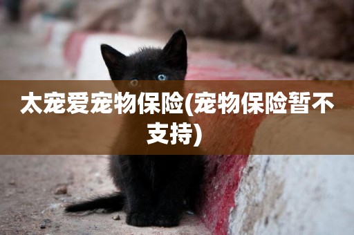 太寵愛寵物保險(寵物保險暫不支持) 